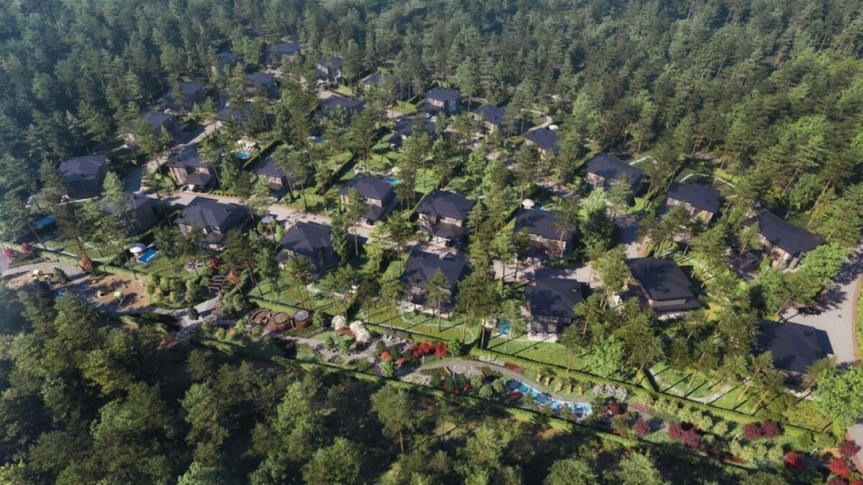 КМ Золочів Ліс Photo (2)