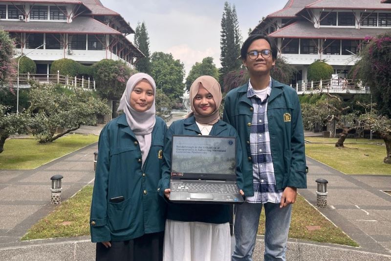 Mahasiswa Universitas