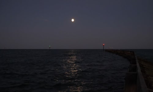 Lights by Kinna Whitehead