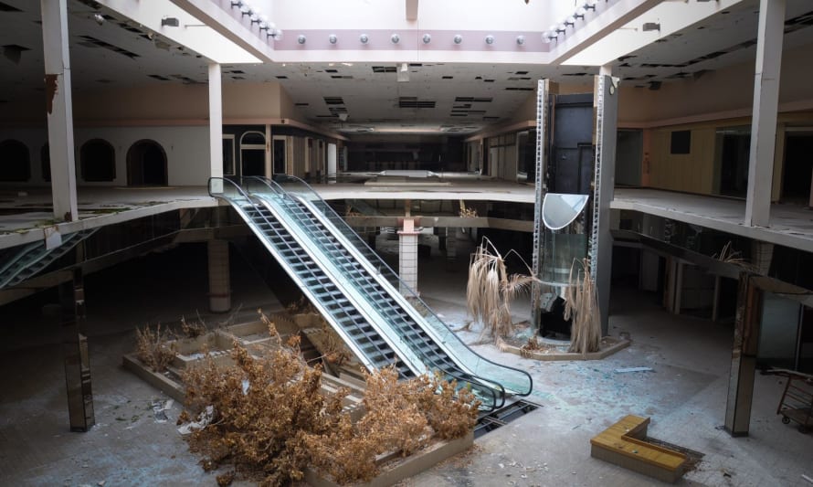 A dilapidated shopping mall with a disused escalator in the centre surrounded by dead trees and plants.