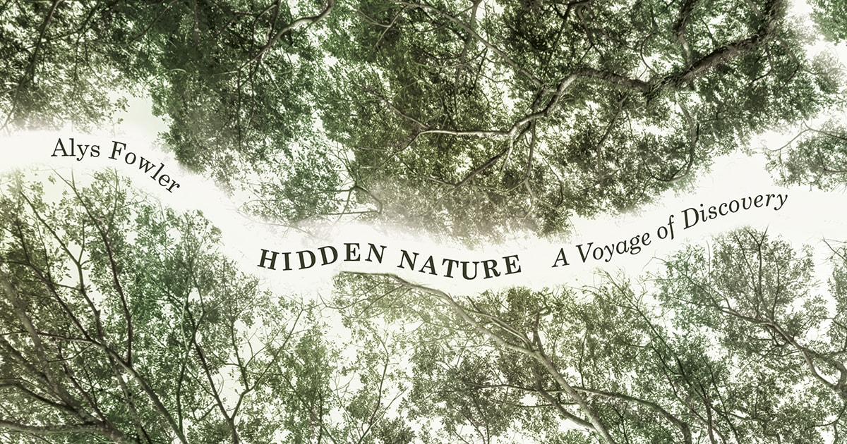 hidden nature by alys fowler