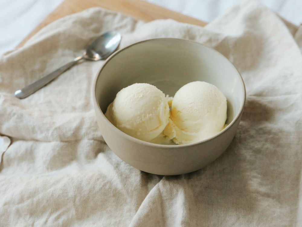 Homemade Yogurt Ice Cream