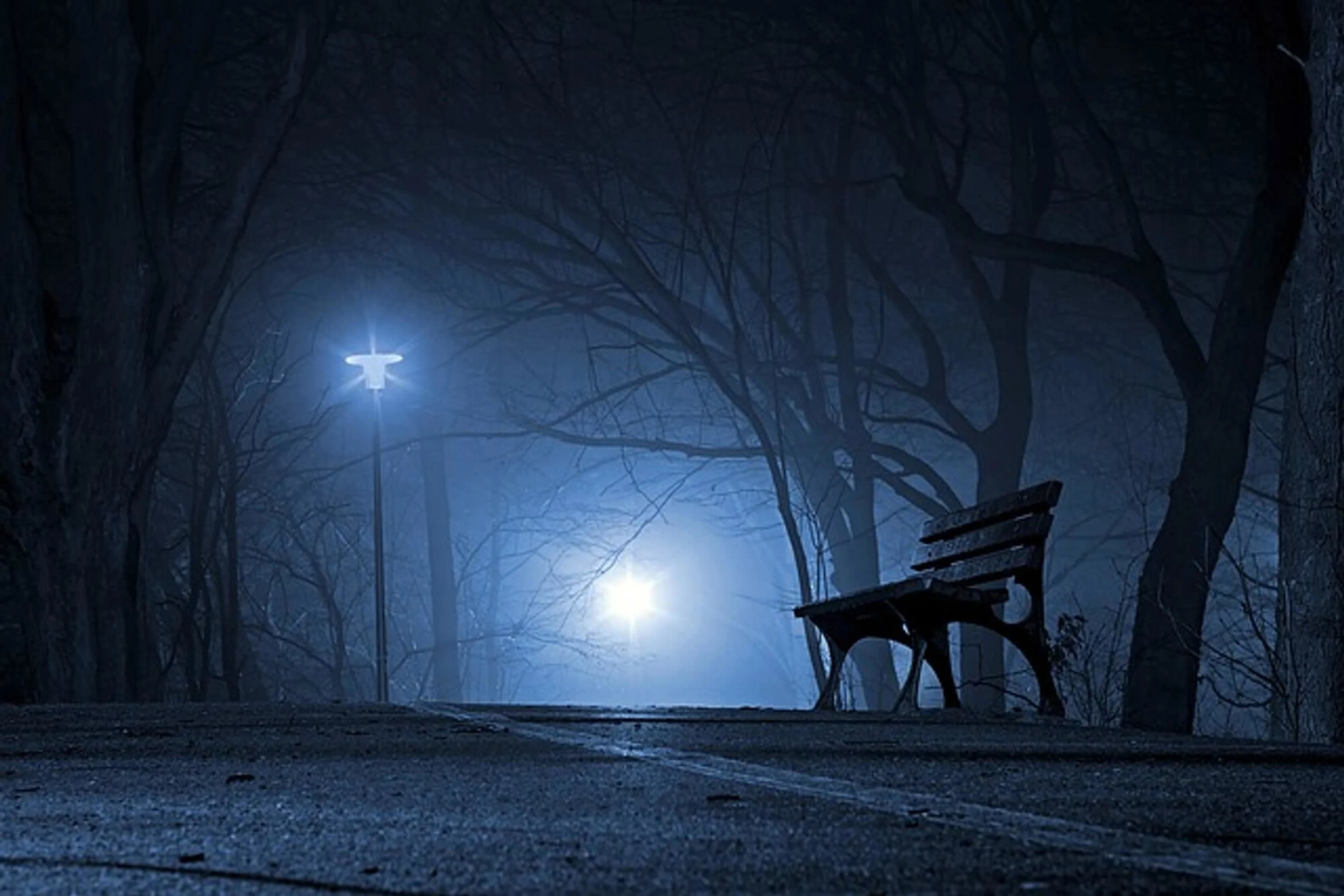 An empty park bench on a dark winter night.
