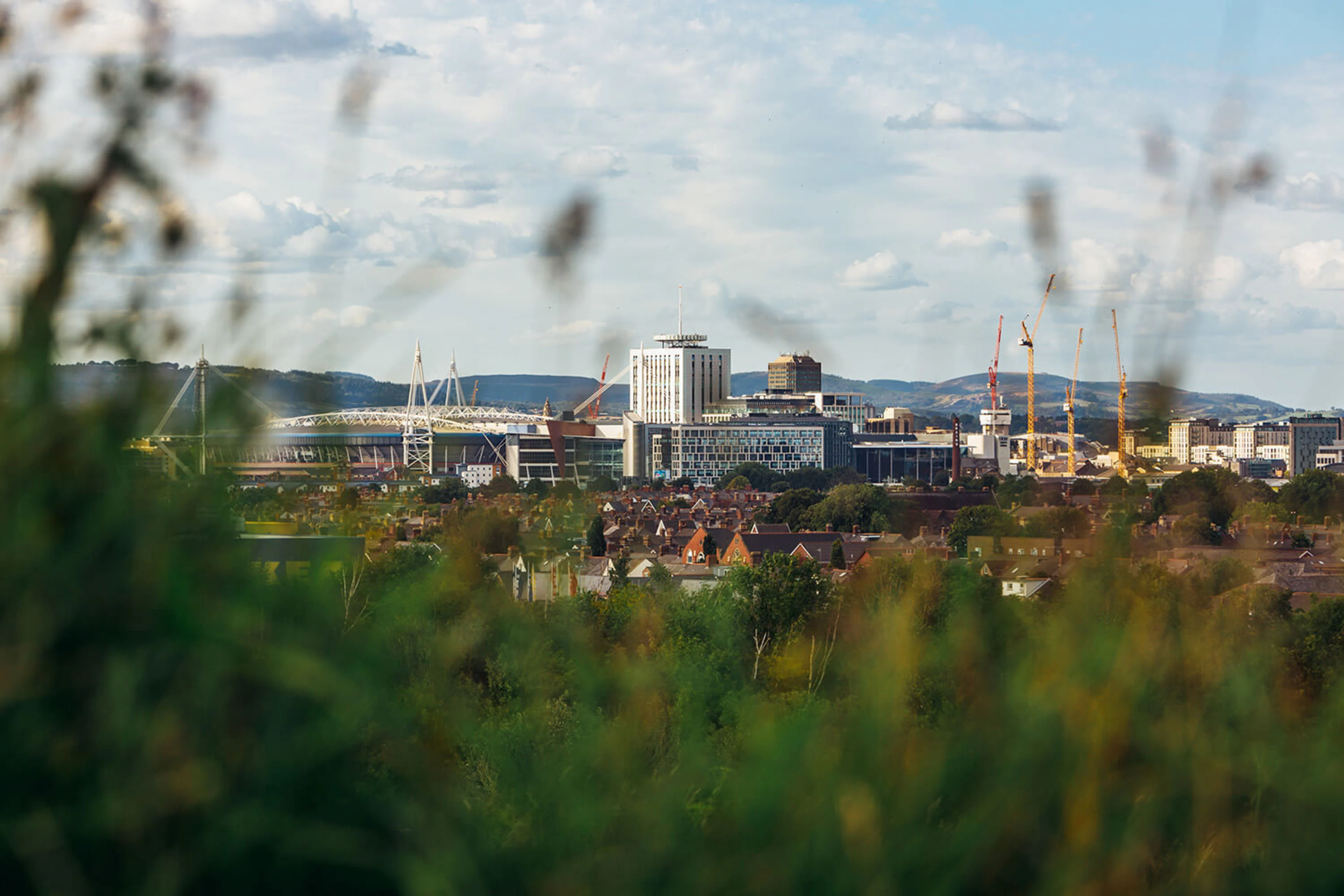 A patch of greenbelt land outside of Cardiff