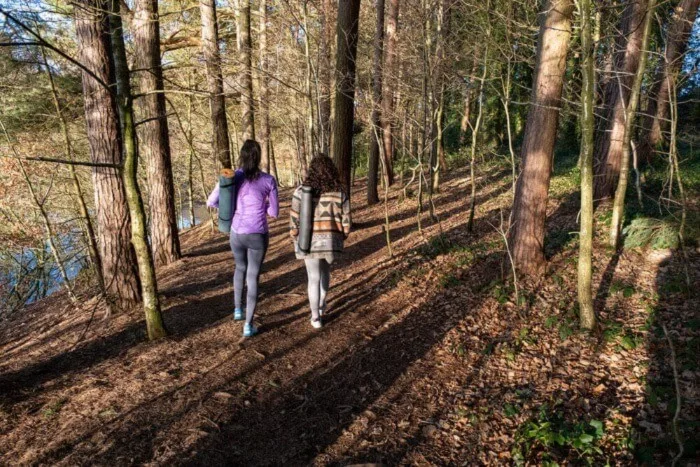 Two friends walking through a wooded forest during a sunny day in winter.