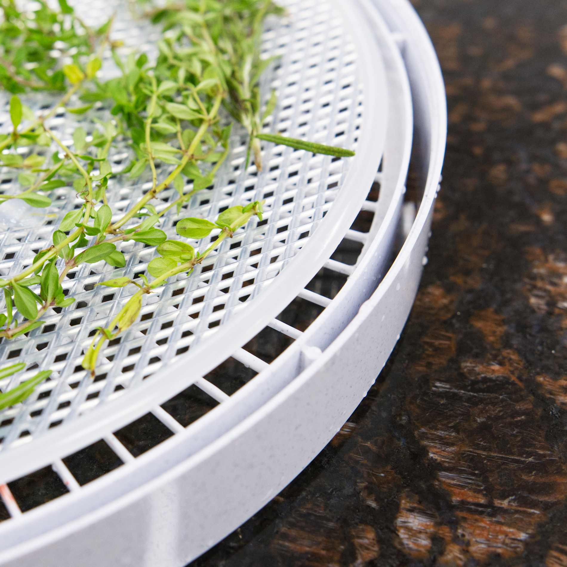 Nesco American Harvest Clean-A-Screen for Dehydrator - Thumbnail 4
