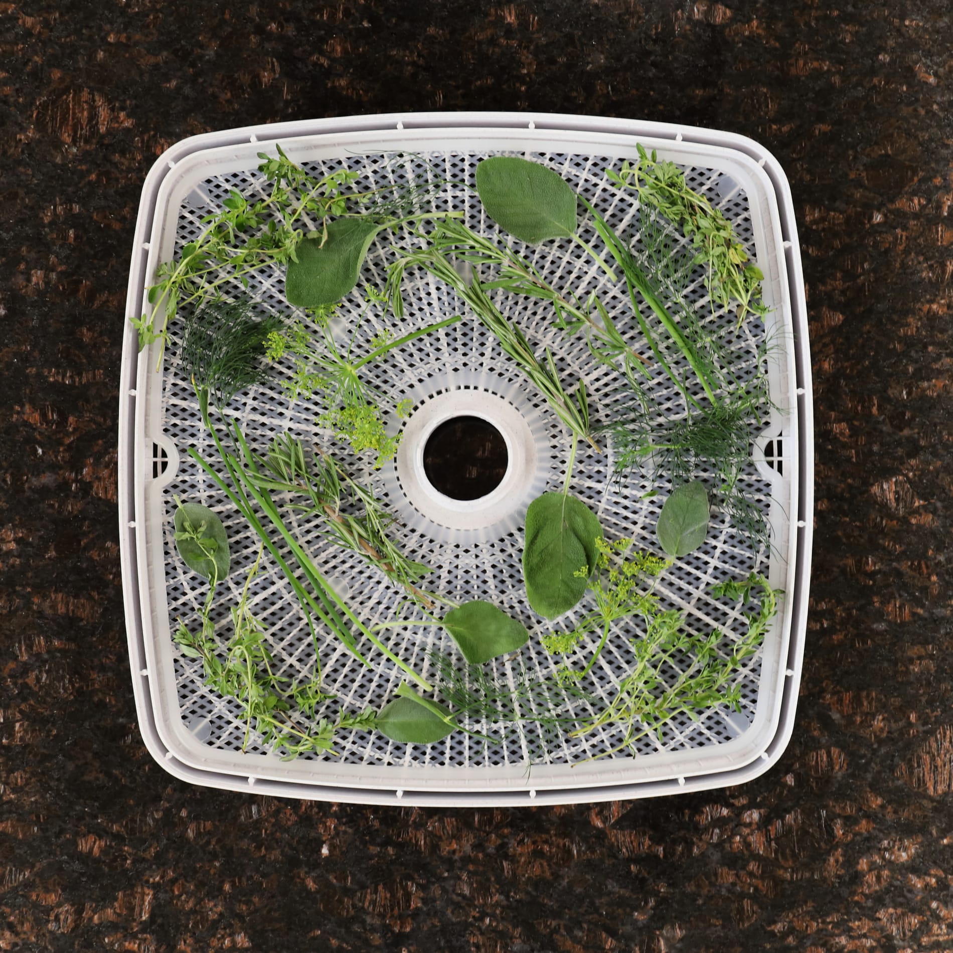 Nesco American Harvest Clean-A-Screen for Dehydrator - Thumbnail 2