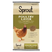 All Flock Poultry Feed - 50 lb by Sprout at Fleet Farm