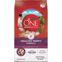 Purina one smartblend healthy puppy formula cheap