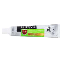 2.5 oz Chicken Flavor Enzymatic Dog Toothpaste by Nutri Vet at Fleet Farm