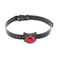 Sport dog collar light hot sale