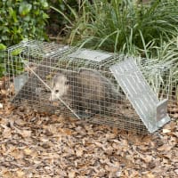 Small 2-Door Live Animal Trap by Havahart at Fleet Farm