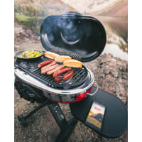Coleman grill roadtrip store