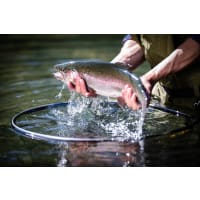 Frabill Floating Trout Teardrop Net