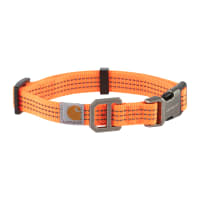 Carhartt dog collar orange 2025