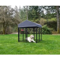 Fleet farm large dog kennels best sale