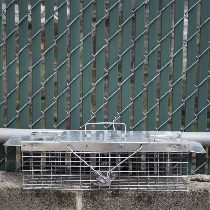 Small 2 Door Live Animal Trap by Havahart at Fleet Farm
