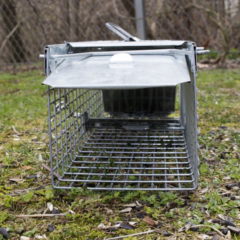 Small 2-Door Live Animal Trap by Havahart at Fleet Farm