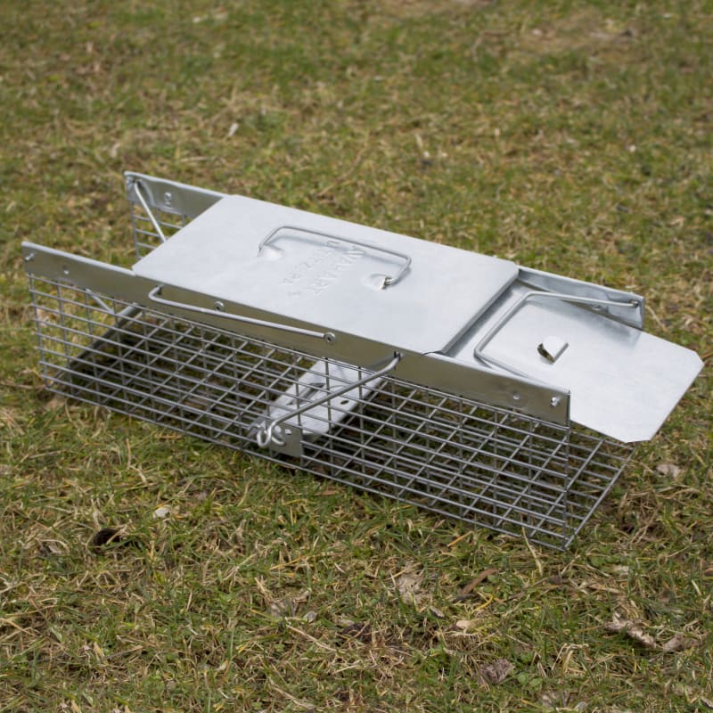 Heavy Duty Squirrel Trap Folding Live Small Animal Cage Trap - Temu