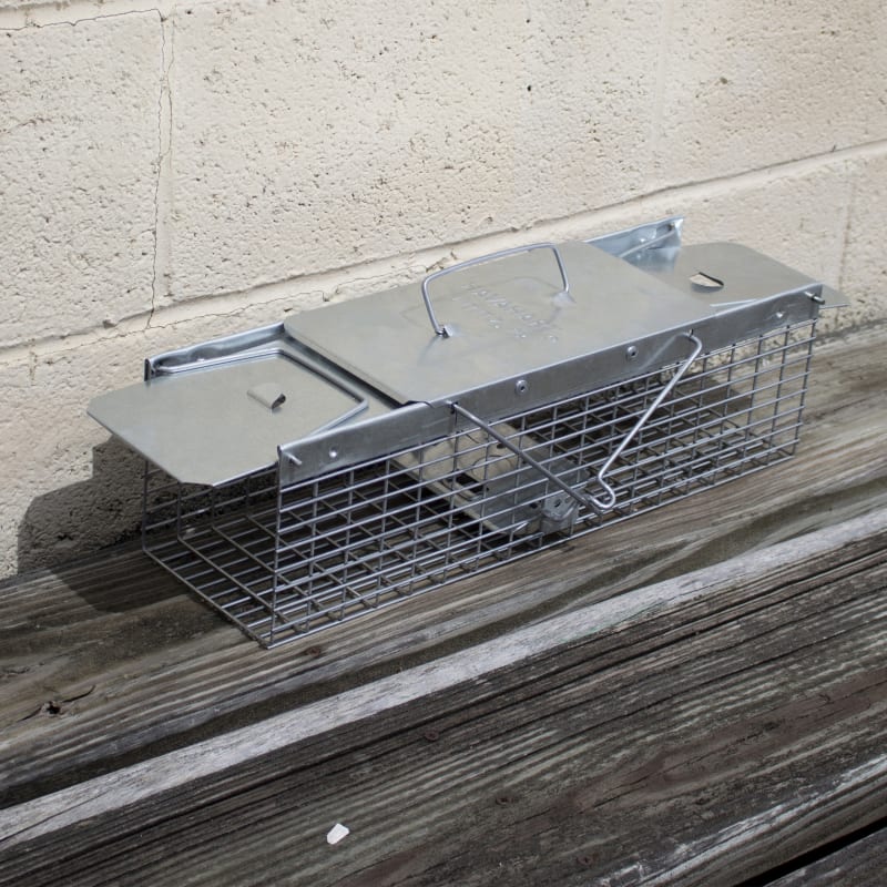 Havahart Live Animal Cage Two Door Trap