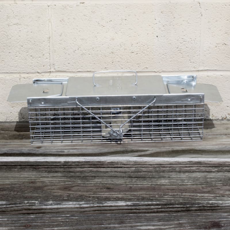 Small 2-Door Live Animal Trap by Havahart at Fleet Farm