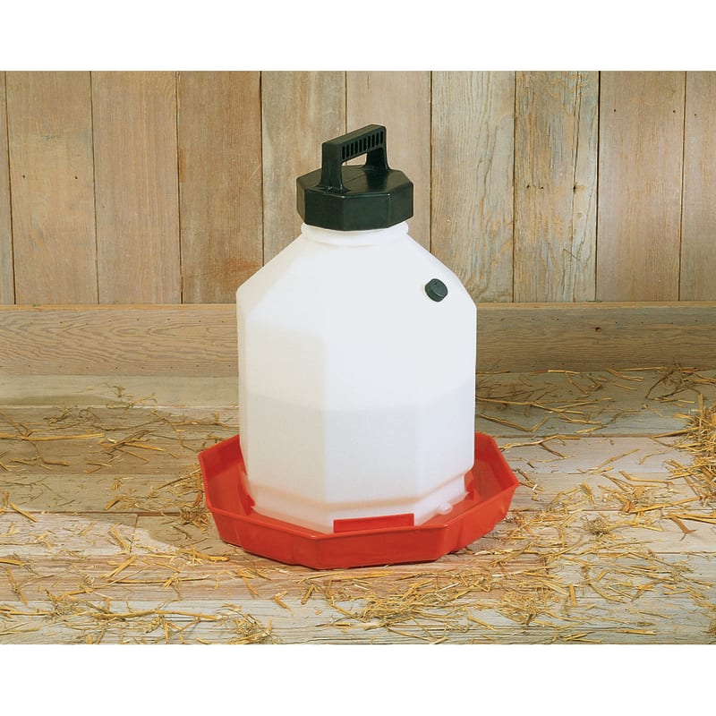 5 gal Plastic Poultry Waterer by Little Giant at Fleet Farm