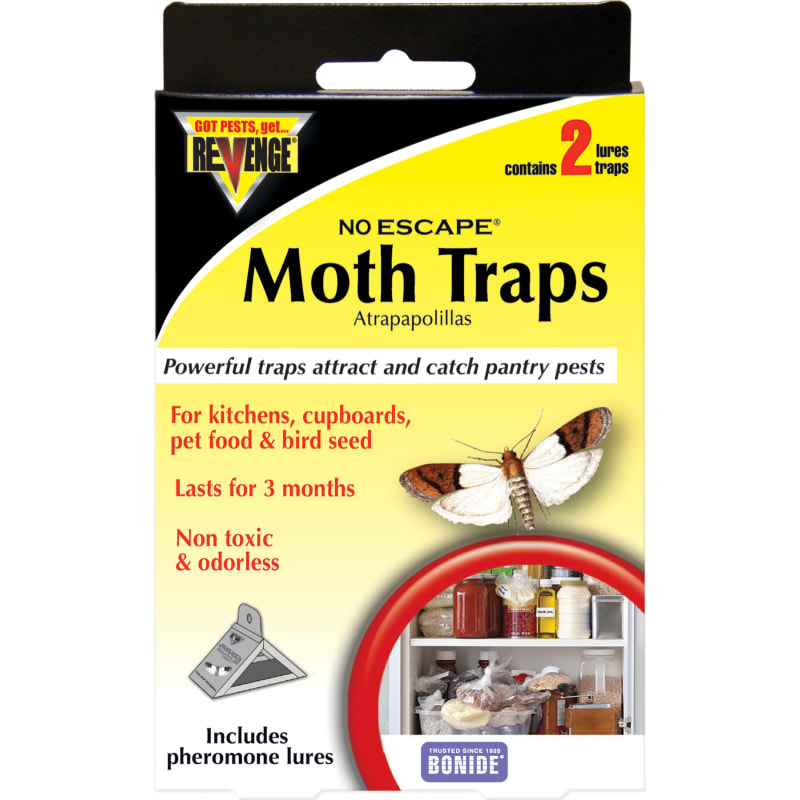 11 Best Moth Traps For Closets And Kitchen In 2023