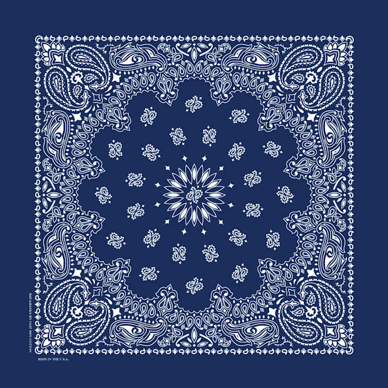 Adult Blue Paisley Print Bandannas - 2 Pk by Hav-A-Hank at Fleet Farm