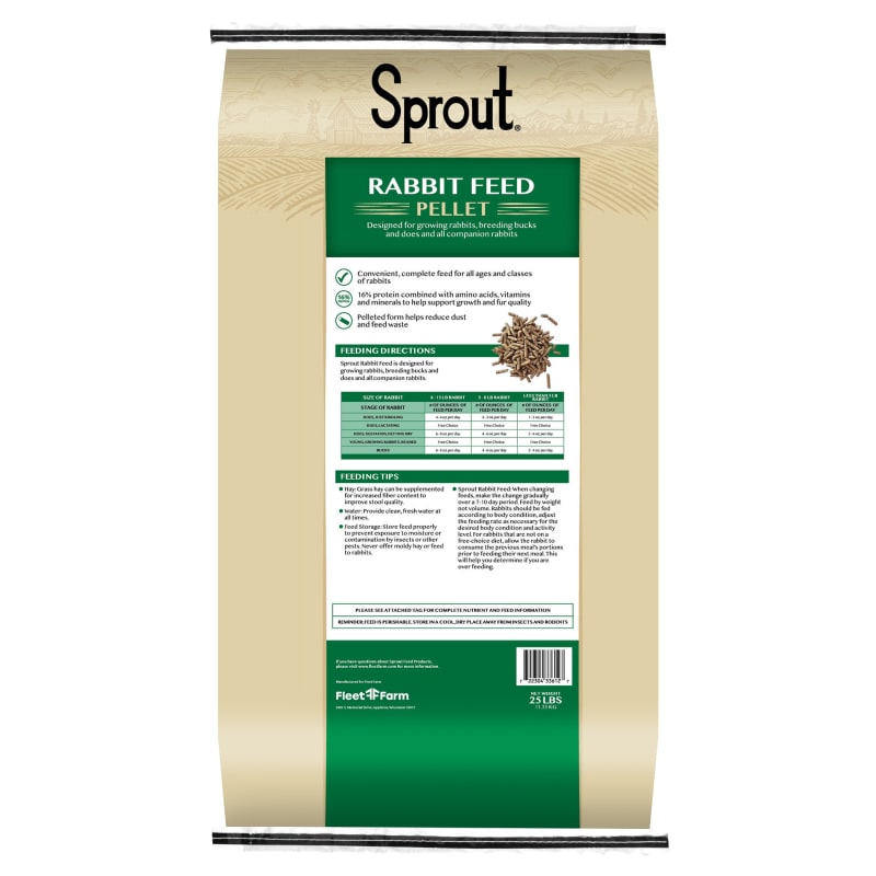 Sprout rabbit store food