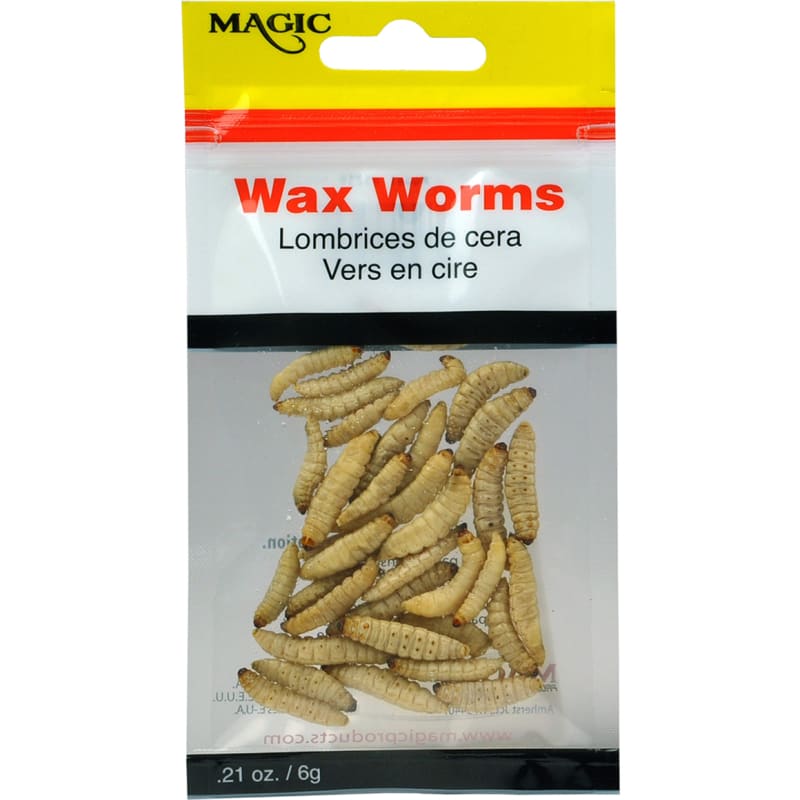 Preserved Wax Worms by Magic at Fleet Farm