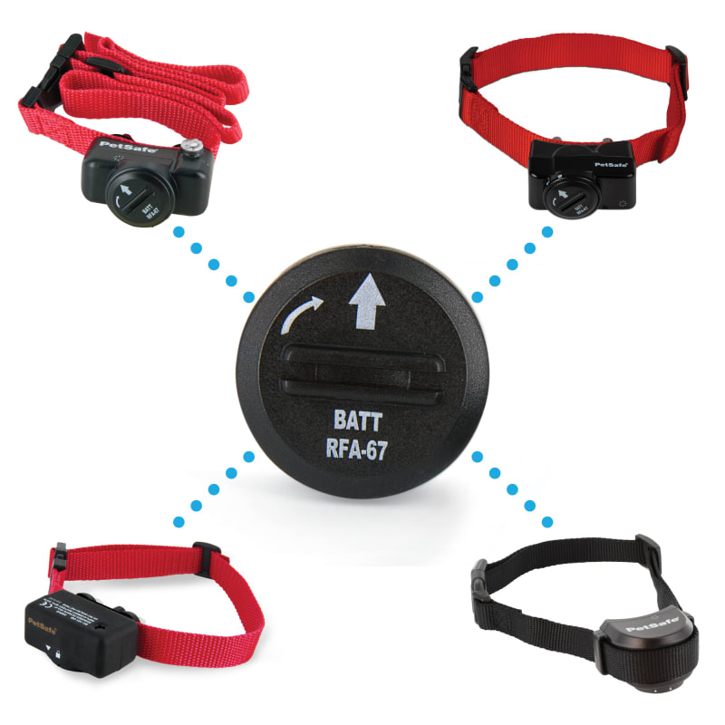 Petsafe 6v battery top
