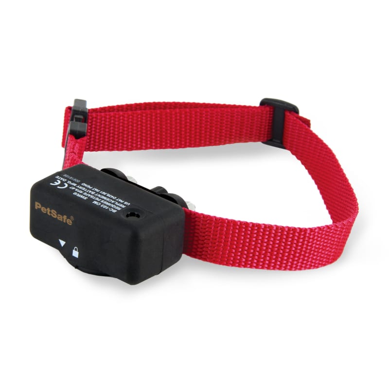 Petsense shock collar new arrivals