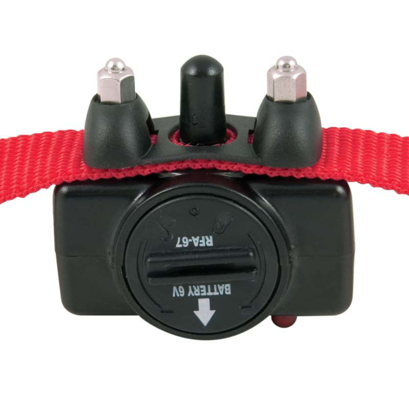 Basic bark control collar sale