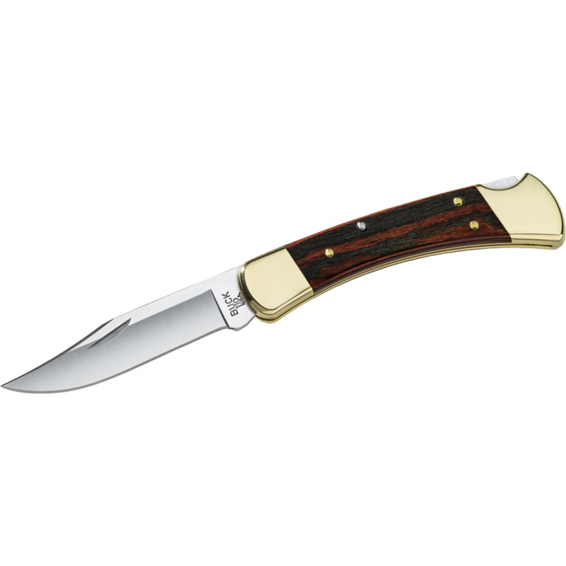 Buck 110 Folding Hunter Pocket Knife - A Gift From A Subscriber