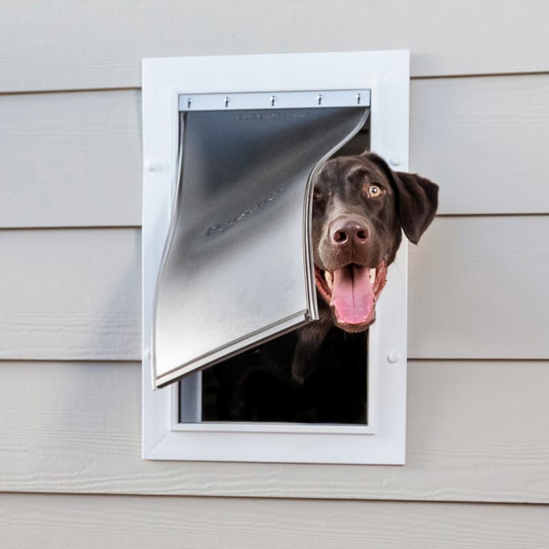 Large Aluminum Wall Entry Pet Door in White by PetSafe at Fleet Farm