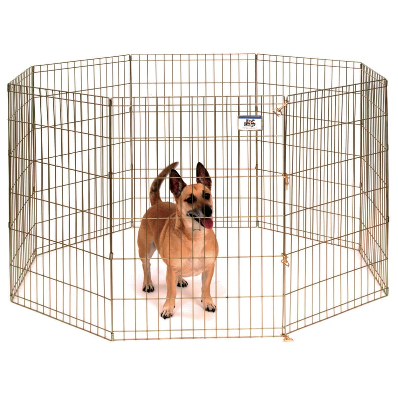 Dog crate fleet farm outlet