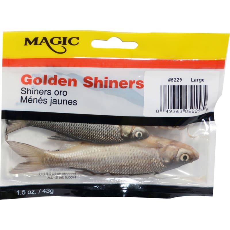 Preserved Fresh Golden Shiners by Magic at Fleet Farm