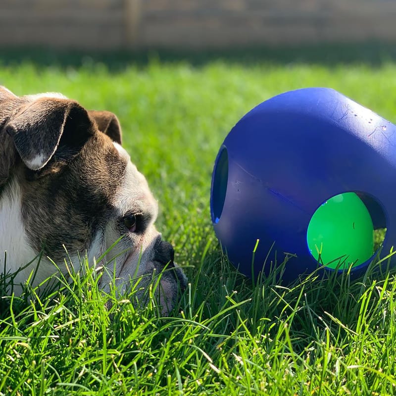 Jolly pets teaser ball dog toy outlet