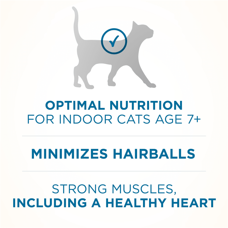 ONE Senior Vibrant Maturity 7 Dry Cat Food by Purina at Fleet Farm