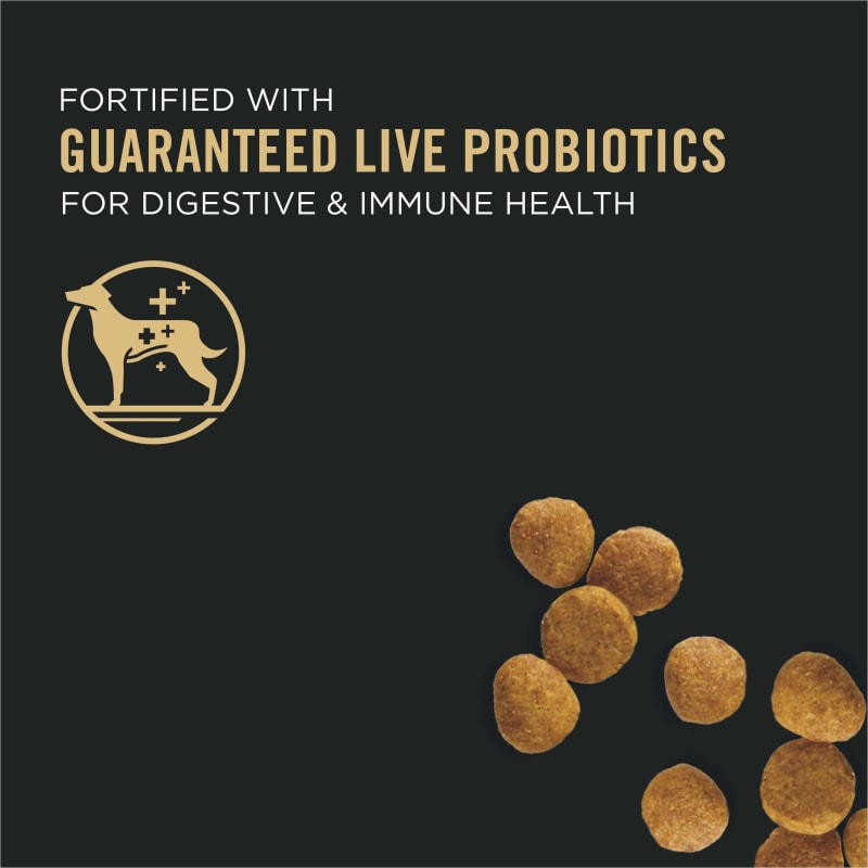 Fleet farm pro plan dog food deals