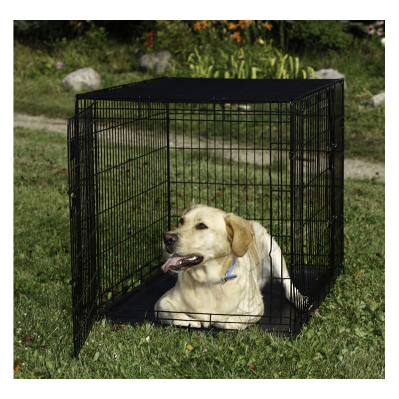 Dog crates at clearance fleet farm
