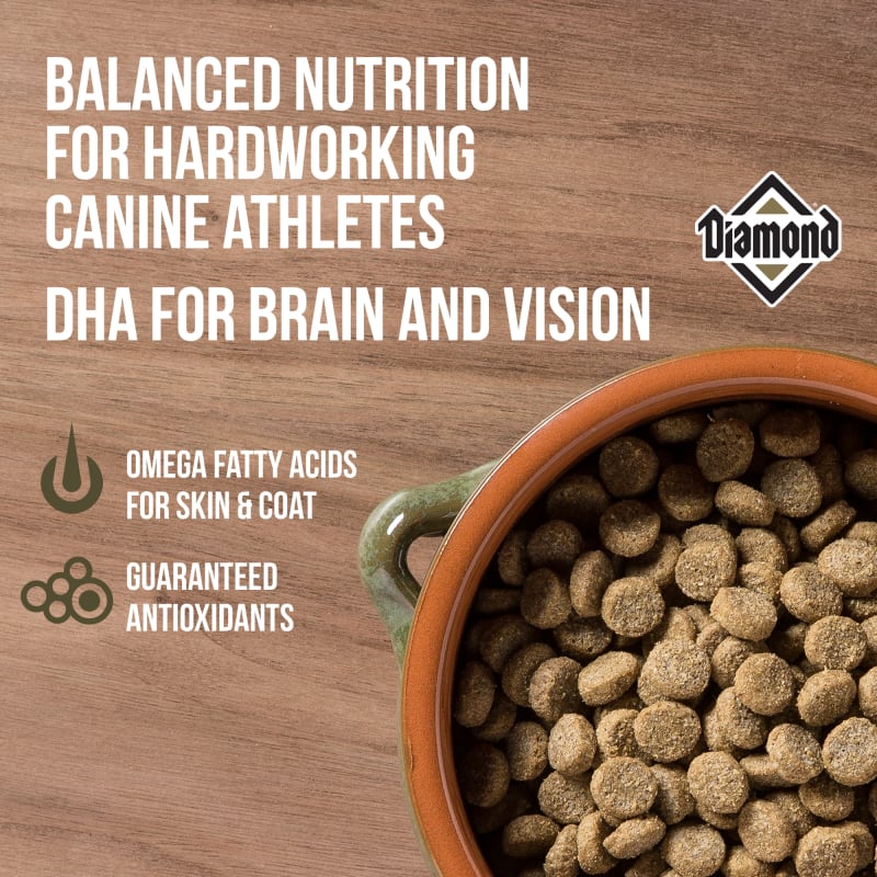 Diamond performance dog food hotsell