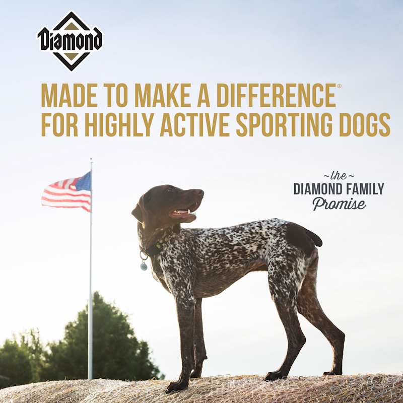 Diamond naturals high energy dog food store