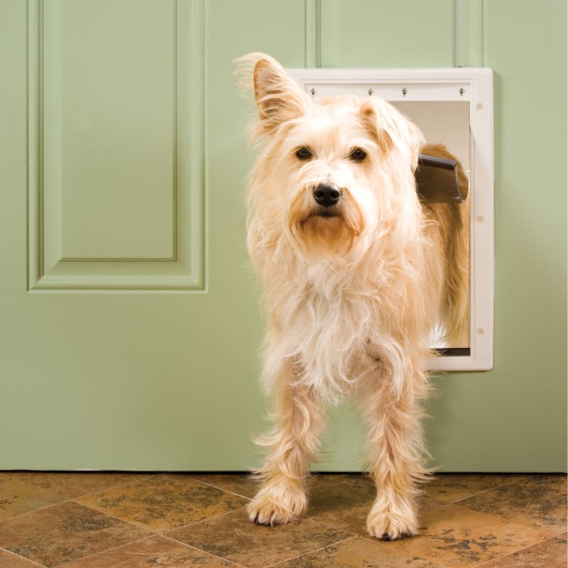 Petsafe medium dog door sales
