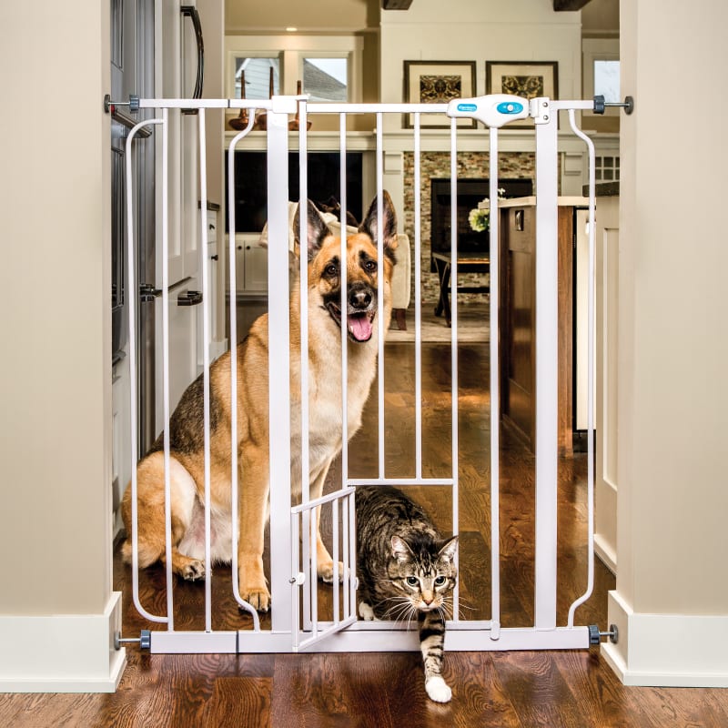 Carlson extra wide walk through pet gate with small pet door 2025