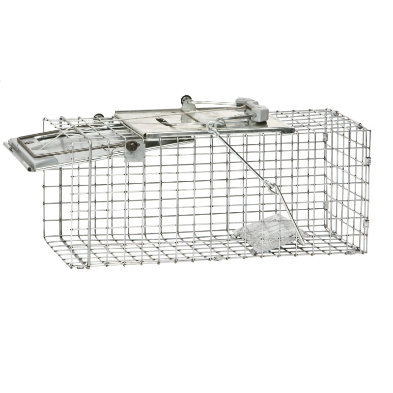 Small 2-Door Live Animal Trap by Havahart at Fleet Farm