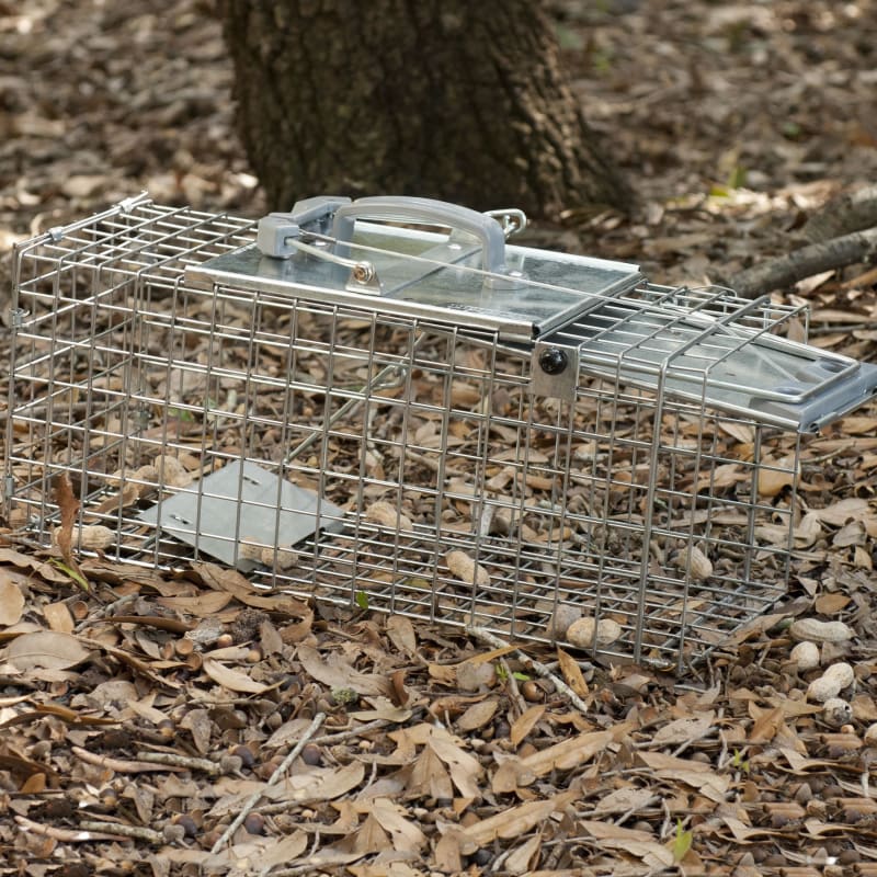 One Door Racoon Live Trap by Havahart at Fleet Farm