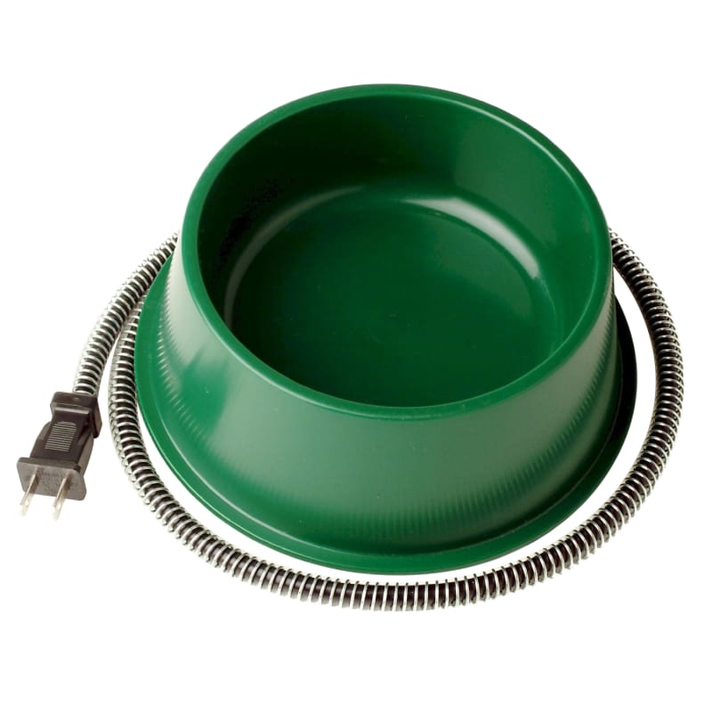 1 Qt Green Heated Pet Bowl by Farm Innovators at Fleet Farm