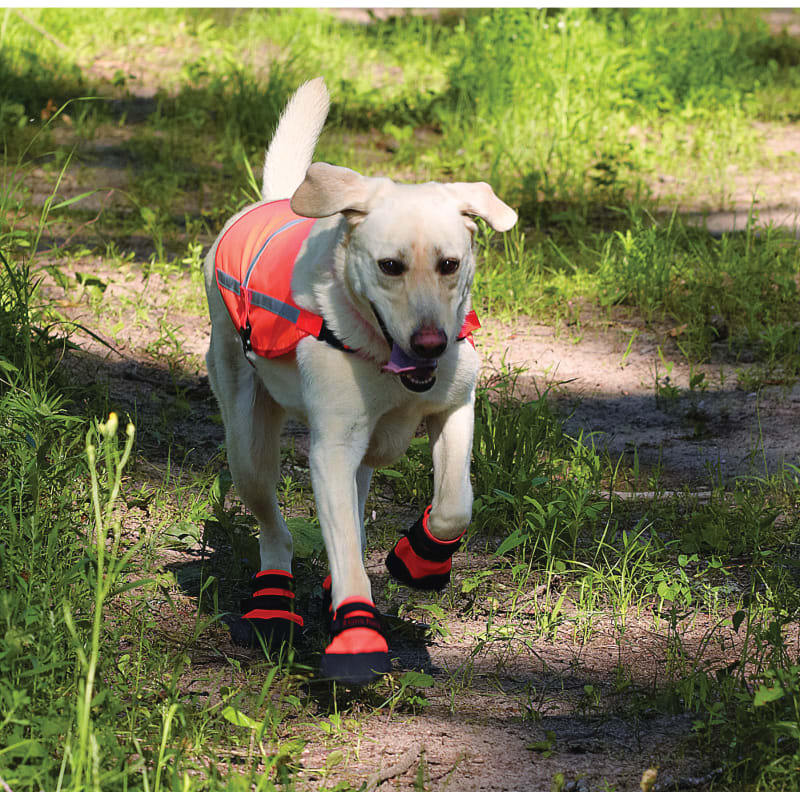 Ultra paws dog boots best sale