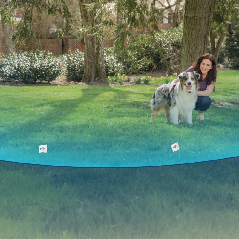 Fleet farm wireless dog fence hotsell